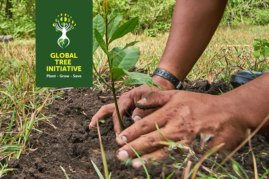 Global Tree Initiative - Planting Trees