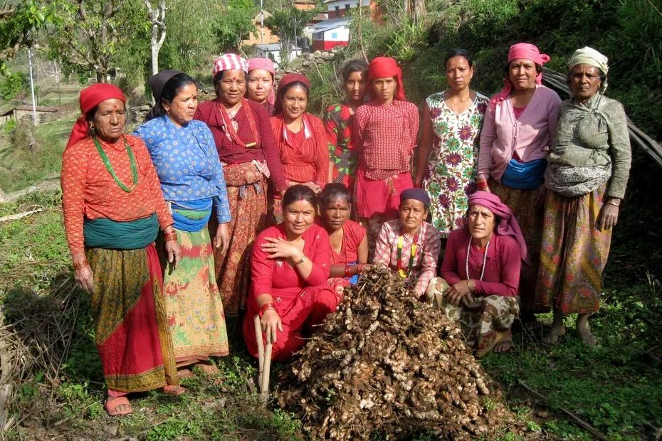 Sapana Nepal - Empowering Women - Ginger Root Project