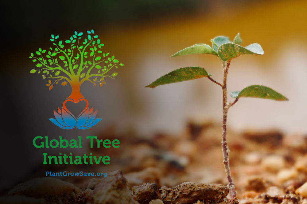 Global Tree Initiative - PlantGrowSave.org