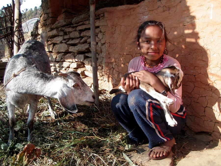 Sapana Nepal - Village Children and Animals